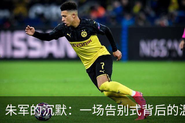 朱军的沉默：一场告别式背后的温暖与反思